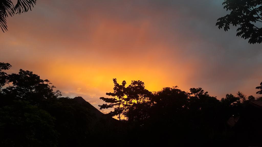 Hotel Tangara Arenal B&B La Fortuna Eksteriør bilde